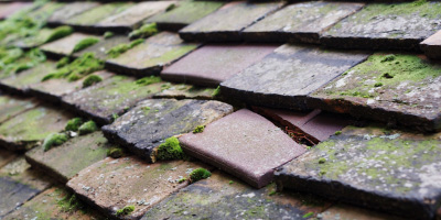 High Roding roof repair costs